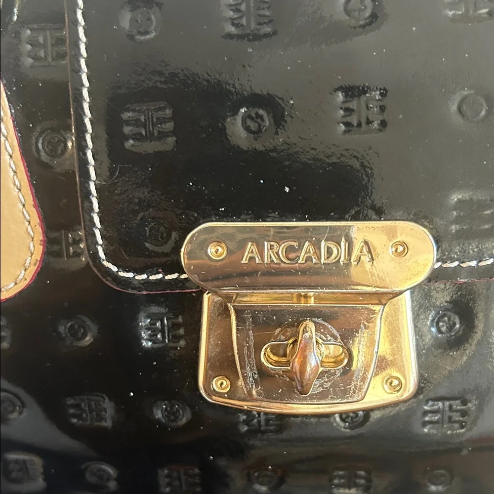 Arcadia Black and Tan Satchel